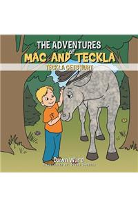 The Adventures of Mac and Teckla