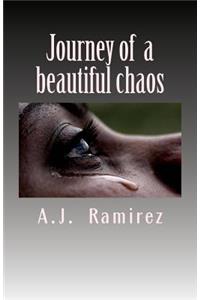 Journey of a beautiful chaos