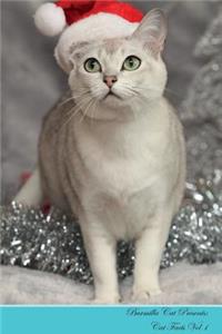 Burmilla Cat Presents