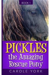 Pickles the Amazing Rescue Pony