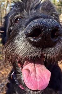 Close Up of a Black Dog Journal
