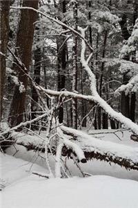 Snowstorm Winter Day Photography Journal