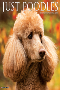 Just Poodles 2021 Wall Calendar (Dog Breed Calendar)