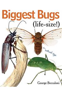 Biggest Bugs Life-Size