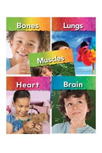 My Body Goreader Audio Set