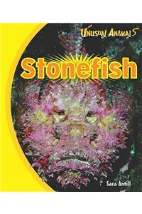 Stonefish