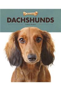 Dachshunds