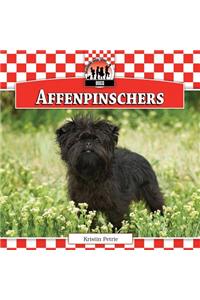 Affenpinschers