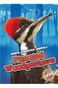Pileated Woodpeckers