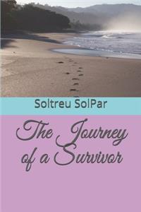 Journey of a Survivor