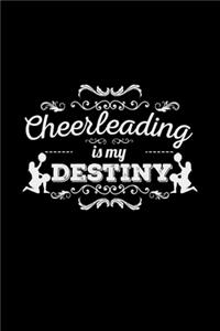 Cheerleading is my destiny