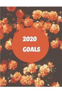2020 Goals