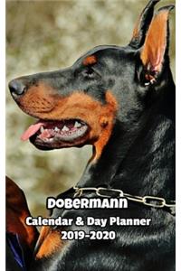 Dobermann Calendar & Day Planner 2019-2020