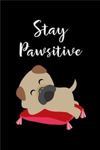 Stay Pawsitive