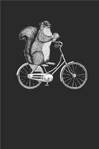Squirrel In Bicycle