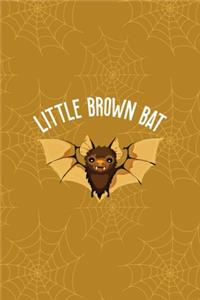 Little Brown Bat
