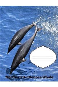 Northern Bottlenose Whale College Ruled Line Paper Composition Book