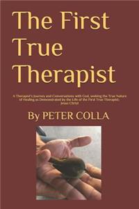 First Pure Therapist: A Therapist's Journey and Conversations with God, seeking the True Nature of Healing as Demonstrated by the Life of the First True Therapist; Jesus 