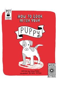 How to Look After Your Puppy