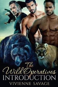 The Wild Operatives Introduction