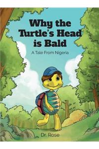 Why the Turtle's Head is Bald