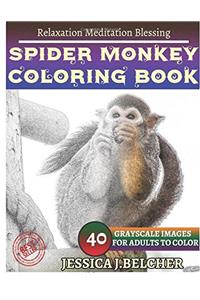Spider Monkey Coloring Book for Adults Relaxation Meditation Blessing