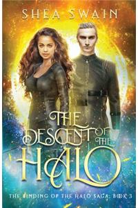 The Descent of the Halo