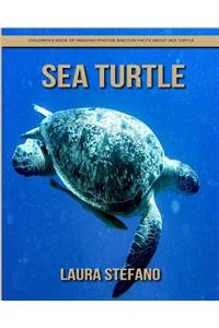 Sea Turtle