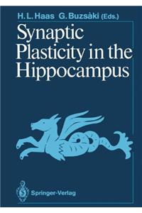 Synaptic Plasticity in the Hippocampus