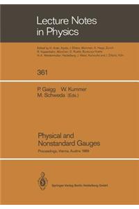 Physical and Nonstandard Gauges