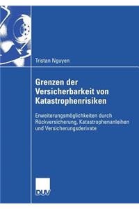 Grenzen Der Versicherbarkeit Von Katastrophenrisiken