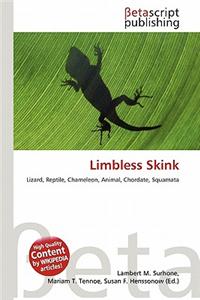 Limbless Skink