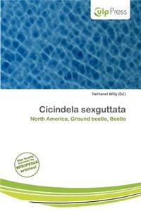 Cicindela Sexguttata