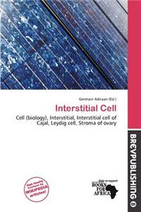 Interstitial Cell