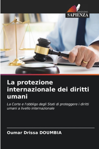 protezione internazionale dei diritti umani