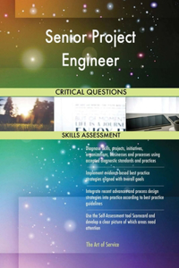Senior Project Engineer Critical Questions Skills Assessment