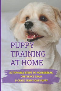 Puppy Training At Home
