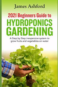 2021 Beginners Guide to Hydroponics Gardening