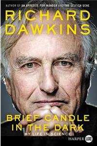 Brief Candle in the Dark LP