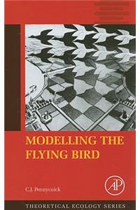Modelling the Flying Bird