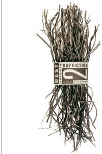 Best American Gay Fiction #2