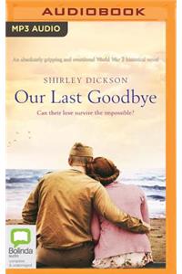 Our Last Goodbye