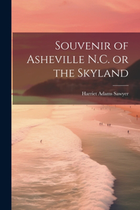Souvenir of Asheville N.C. or the Skyland