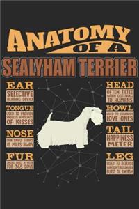 Anatomy Of A Sealyham Terrier