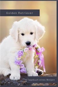 Golden Retriever Tagebuch eines Welpen