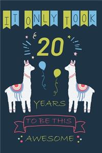 It Only Took 20 Year to be this Awesome
