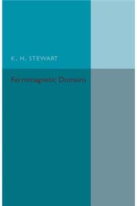 Ferromagnetic Domains