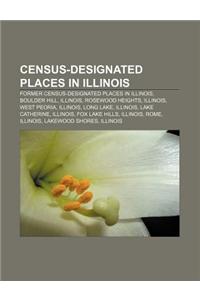 Census-Designated Places in Illinois
