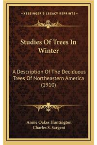 Studies Of Trees In Winter