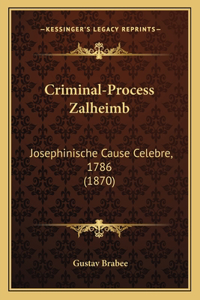 Criminal-Process Zalheimb
